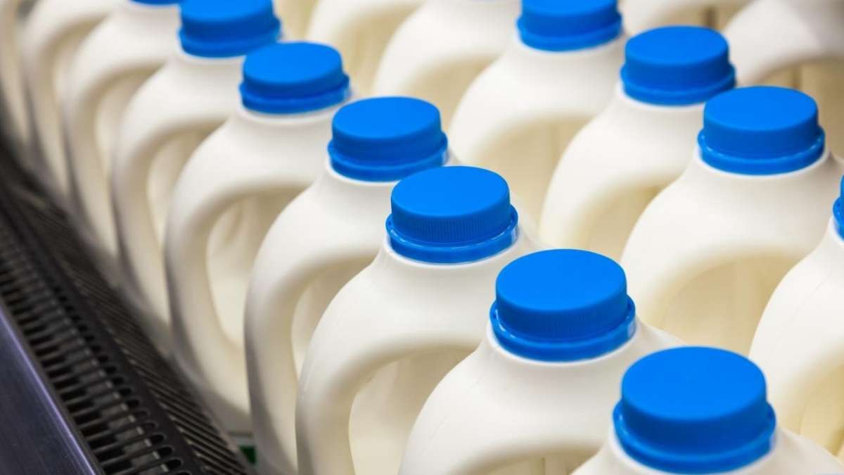 La homogeneización prolonga la vida útil de la leche al reducir el tamaño de las partículas de grasa y mejorar su distribución.